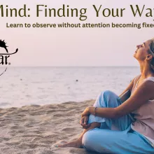 Avatar - Quiet Mind: Finding Your Way Home - Ann Arbor